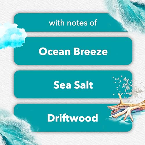 Image of Glade PlugIns Refills Air Freshener, Scented and Essential Oils for Home and Bathroom, Sky & Sea Salt, 3.35 Fl Oz, 5 Count