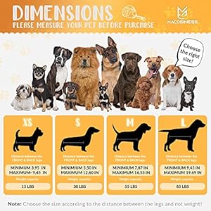 Petgroominghammockfornailtrimmingcompletegroomershelpersetforpetdoggroominghammockwithhookcatnailclipperdoghammockfornailclippingsgoldwithblackpaws  Cucciolini Doodles   cucciolini doodles