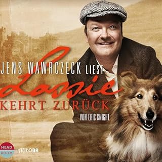 Lassie kehrt zurück cover art