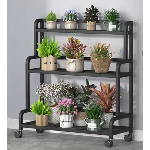 Support à fleurs en métal avec étagère à plantes à plusieurs niveaux pour jardin et terrasse