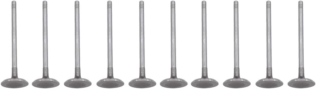 NewYall Pack of 10 Engine Intake Valves Intervalve