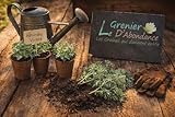 100 graines à semer - Le Grenier d'Abondance - Absinthe Vivace - Artemisia Absinthium