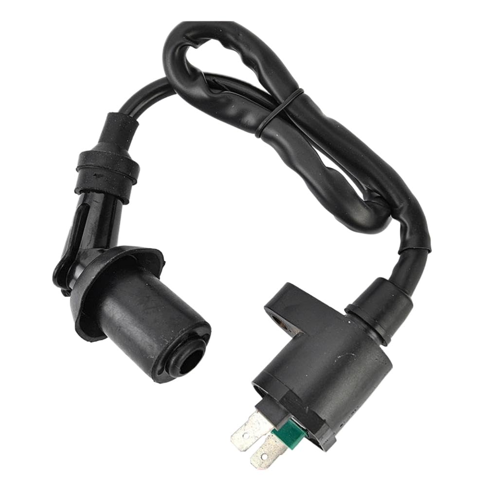 Gruppo bobina di accensione V30510CJF010 compatibile con Aeon DS70 DS90 X DS 70 90 4T e GOES ATV 220 sostituisce AEO-30510205-000