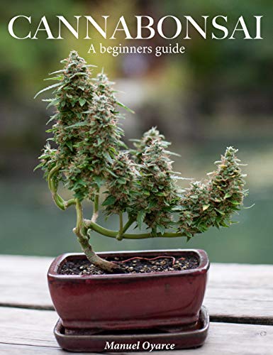 Télécharger Cannabonsai: A Beginners Guide (English Edition) PDF