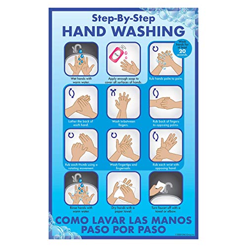 Daymark Safety Systems IT119531 Hand Washing Steps Laminated Poster 11 Inch X 17 Inch cover