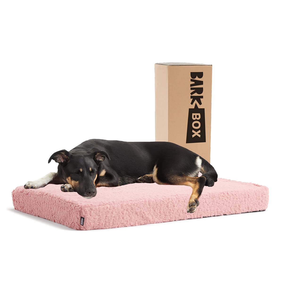 Barkbox Soft Plush Memory Foam Platform Dog Bed, Mattress for Orthopedic Joint Relief, Machine Washable Cuddler with Removable Cover and Water-Resistant Lining, Includes Squeaker Toy