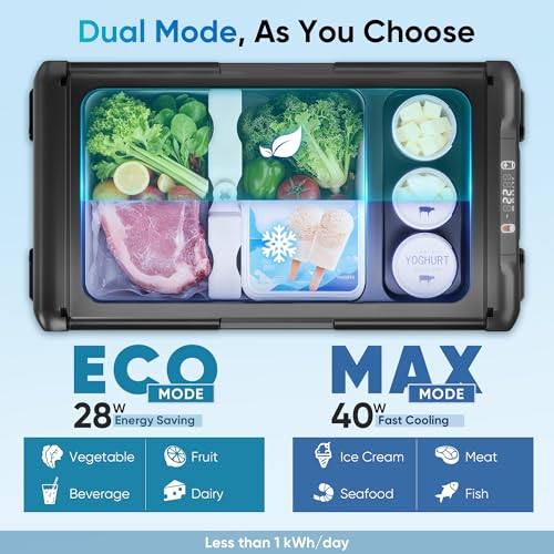 Portable Car Refrigerator Freezer Dual Zone
