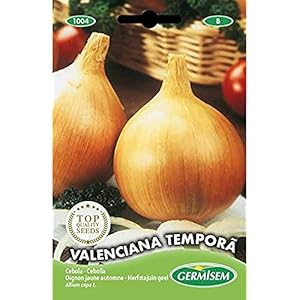 Germisem EC1004 Valenciana Tempora Ui Zaden 3 g