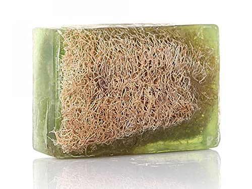 Shayenne - Handgemachte Vegane Aloe Vera Duschseife 130 g für alle Hauttypen - SPA Natürliche Kürbisfaser Schwamm - Stück Seife festes Duschgel Shampoo - Natürlicher Duschbrocken - Tierversuchsfrei Cover