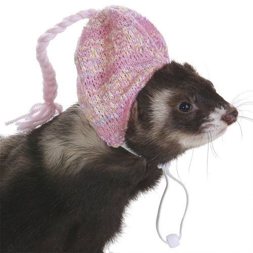 Marshall Ferret Cap, Visor Cap