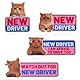 4stk Lustige Katze New Driver Auto Magnete, Süße Nervöse Katze Reflektierende Schülerfahrer Schilder Sicherheitswarnung Magnetische Stoßstangenaufkleber Autoaufkleber für Anfänger Geschenke