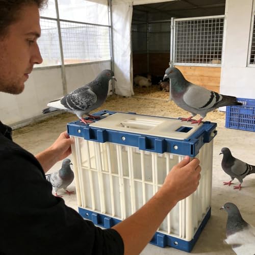 Draagbare vogeldrager - reiskooi voor papegaaien | Ademend ontwerp met veilig slot, lichtgewicht transportaccessoire, outdoor training release tool voor duiven parkiet papegaaien wedstrijd - Afbeelding 3