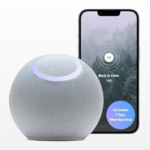 Reflect Orb: Smart tracker for better mental healt...