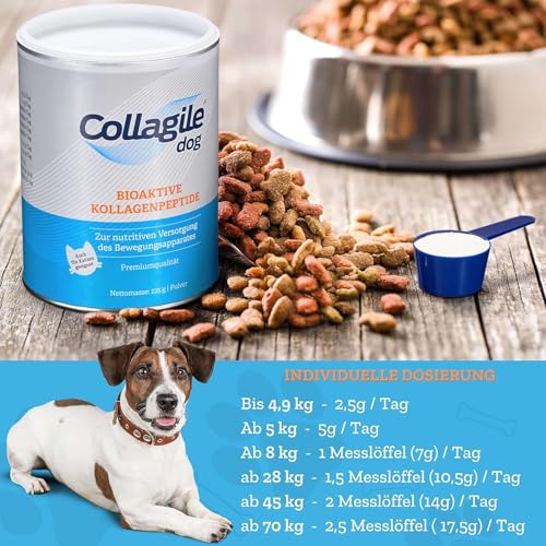 Collagile Dog 2x225g – Bioaktive Collagen Peptide für Hunde und Katzen – Nutrifunktionelles Gelenkpulver – unterstützt den gesamten Bewegungsapparat – Klinisch in Studien getestet