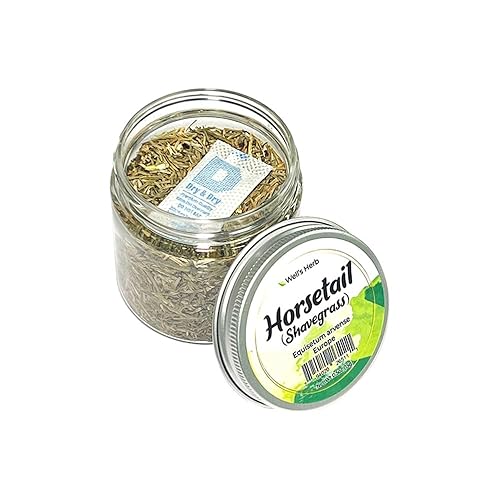 Miniatura 2 de Well's - Cola de caballo seca a base de hierbas | 0.5 onzas | 100% natural | Ingrediente de aceite de hierbas para el cabello y la piel | Esencial