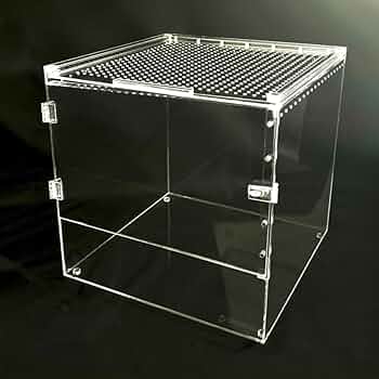 51C-YMpCdUL._AC_UF350,