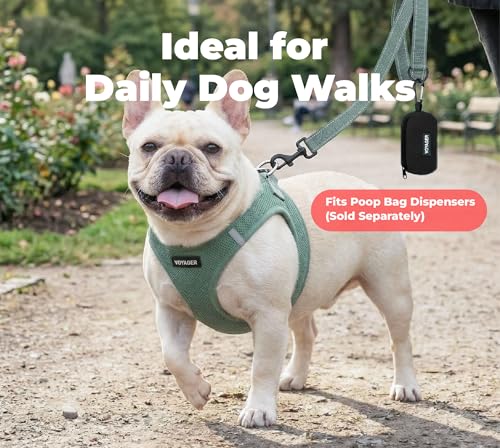 Image of Best Pet Supplies Voyager Reflective Dog Leash or Collar with Neoprene Handle, for Small, Medium, and Large Breed Puppies, Cute and Heavy Duty for Walking, Running and Training - Moss Green (Leash), M