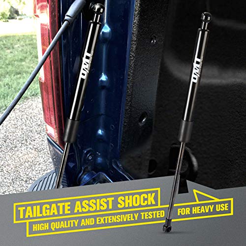 ORION MOTOR TECH Truck Tailgate Assist, Pickup Tailgate Lift Assist Kit, Truck Accessory Compatible with 2009 2010 2011 2012 2013 2014 2015 2016 2017 2018 2019 2020 2021 2022 Dodge Ram 1500 2500 3500
