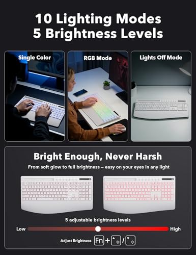 Image of Trueque Wireless Keyboard and Mouse Combo, 4000mAh Rechargeable Backlit Keyboard with Wrist Rest & Phone Holder, Full Size Quiet Typing 2.4G USB-A /Type-C for PC Laptop Windows Mac (White)