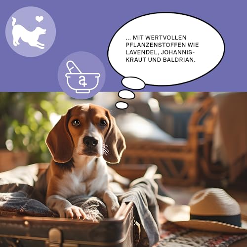 Beruhigungstabletten für Hunde – Bei Stress, Angst & Reisen – Mit Baldrian, Johanniskraut & Lavendel – Pflanzlich – 40 Stück – animaux Daily Balance