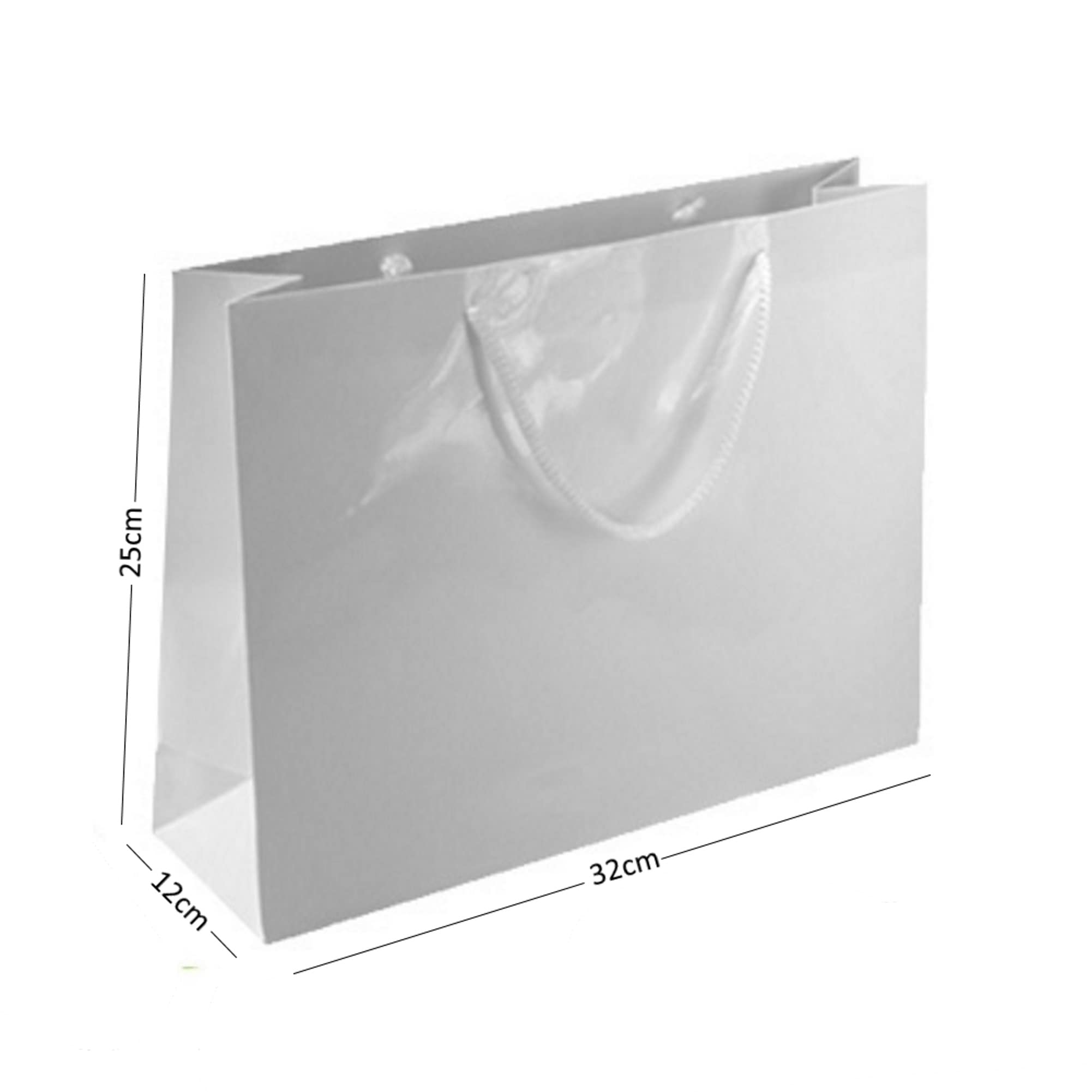 White Gloss Laminated Boutique Shop Gift Bags Strong Shiny Glossy Bag 3 SIZES (8 Bags, Glossy Landscape)