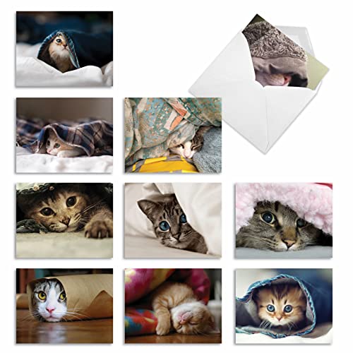 Image of The Best Card Company 10 Assorted Thank You Notecards Bulk Box Set 4 x 5.12 Inch with Envelopes (10 Designs, 1 Each) Cat You See Me Now? M1543TY