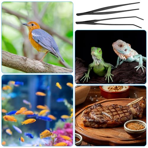 Lnngub 2 Stück Aquarium Pinzette Set, 25cm Gerade Pinzette und 27cm Gebogene Pinzette Set Lange Reptilien Futterpinzette aus Edelstahl Schützende Finger Pinzette für Reptilien, Wasserpflanze (Schwarz)