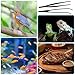 Lnngub 2 Pcs Reptile Feeding Tongs,Stainless Steel Long Tweezers Terrarium Rubber Tipped Feeding Tongs Straight and Curved Long Tweezers Terrarium Feeder Tool for Tank (9.84 in,10.55 in,Black)
