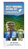 West Virginia Nature Set: Field Guides to Wildlife, Birds, Trees & Wildflowers of West Virginia (Nature Observation North America)