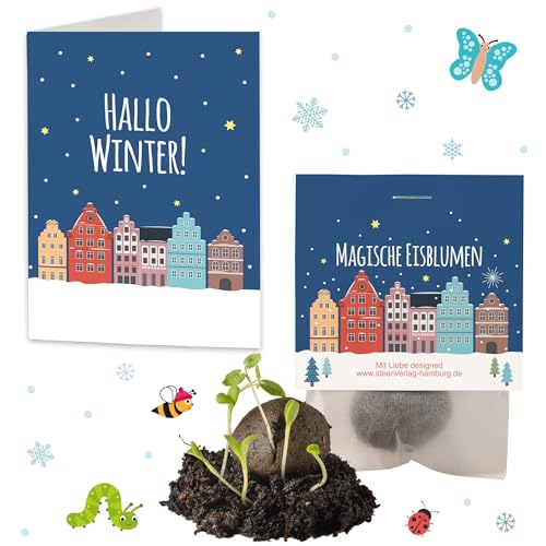 10x \"Winterlandschaft\" Winter Samenbomben Weihnachten inkl. liebevollen Grußkärtchen | treiben aus bei Kälte | kleine Geschenke Kollegen Saatbomben Geschenk Gäste Geschenke Gastgeschenk Dankeschön 10x \"Winterlandschaft\" Winter Samenbomben Weihnachten inkl. liebevollen Grußkärtchen | treiben aus bei Kälte | kleine Geschenke Kollegen Saatbomben Geschenk Gäste Geschenke Gastgeschenk Dankeschön