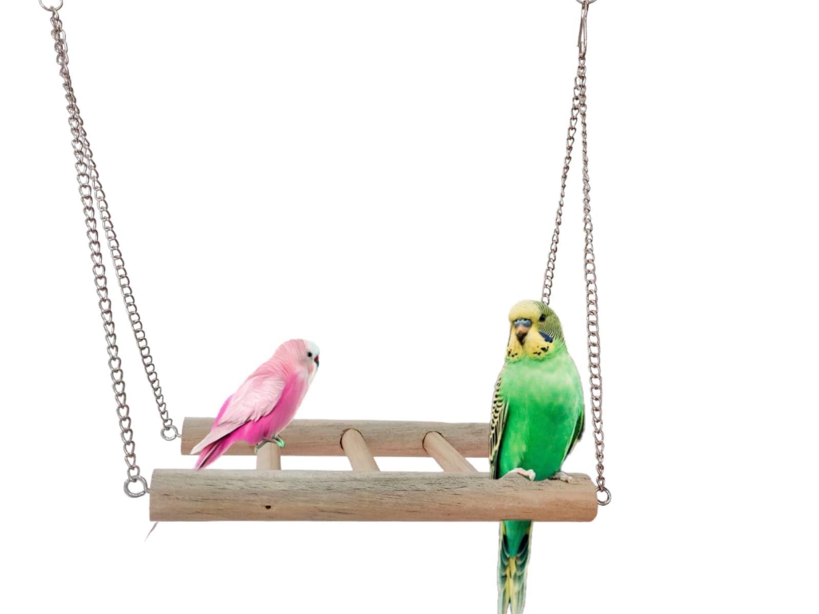 See full amazon price history chart for Poonch Hanging Ladder Playing Toy Natural Wood and Chain with Hook cage Toy 22 cm for Budgies cockateil Lovebird and Other Parrots Poonch Hanging Ladder Playing Toy Natural Wood and Chain with Hook cage Toy 22 cm for Budgies cockateil Lovebird and Other Parrots (B0CQWJGSHN) Amazon Price History, Amazon Price Tracker
