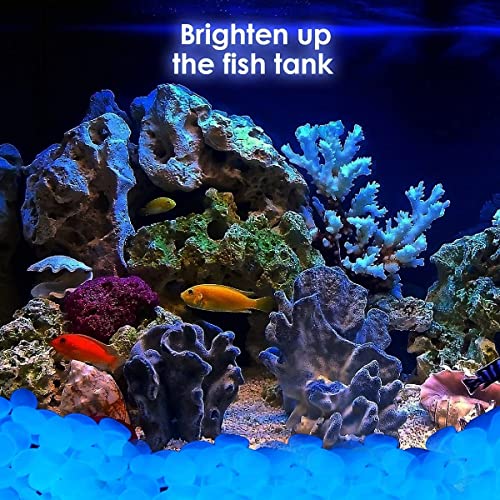 Fane Glow In The Dark Rocks, 100 Pcs Glow Pebbles, Glow In The Dark Pebbles By Light & Solar Energy, Outdoor Decorative Luminous Stone For Sidewalks, Gardens, & Swimming Pools Blue 0.8''-1.2'' #TOP2