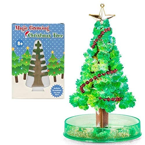 Playwrite Magic Growing Christmas Tree