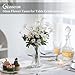 Glasseam Glass Vase for Home Decor: Clear Flower Vases for Living Room Kitchen Bathroom Wedding Table Centerpieces - 7.5