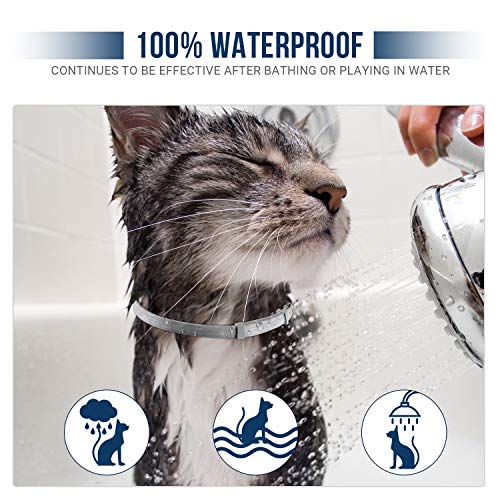 Flea And Tick Collar For Cats,8-Month Tick And Flea Control For Cats,Adjustable Design-One Size Fits All,Safe & Allergy Free, Waterproof, With Flea Comb,2 Pack #TOP2