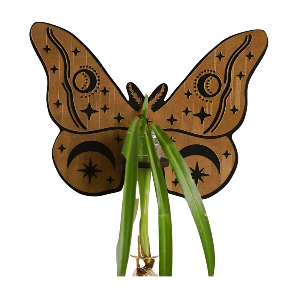 IJSDNVJNDX Butterfly Wall Mounted Breeding Station, Wooden Hanging Plant Stand, Plant Stand with Plastic Tubes, Hydroponic Plants A