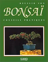 Download Réussir son bonsaï : Conseils pratiques PDF