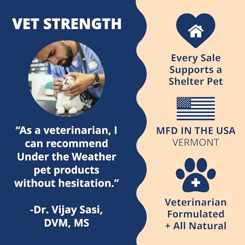 Image of Under the Weather Ready Cal Powder for Cats | High-Calorie Weight Gainer & Appetite Stimulant | Cat Energy Booster Veterinarian-Approved Pet Supplement with Vitamins & Minerals | Chicken Flavor