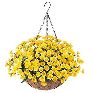 Ammyoo GGGL Gelber Gänseblümchen Hängekorb
