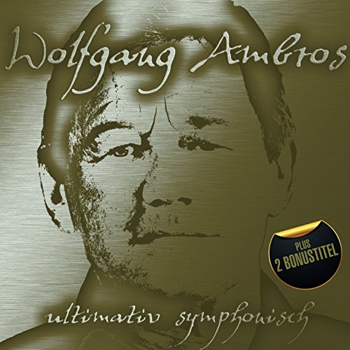 Wolfgang Ambros