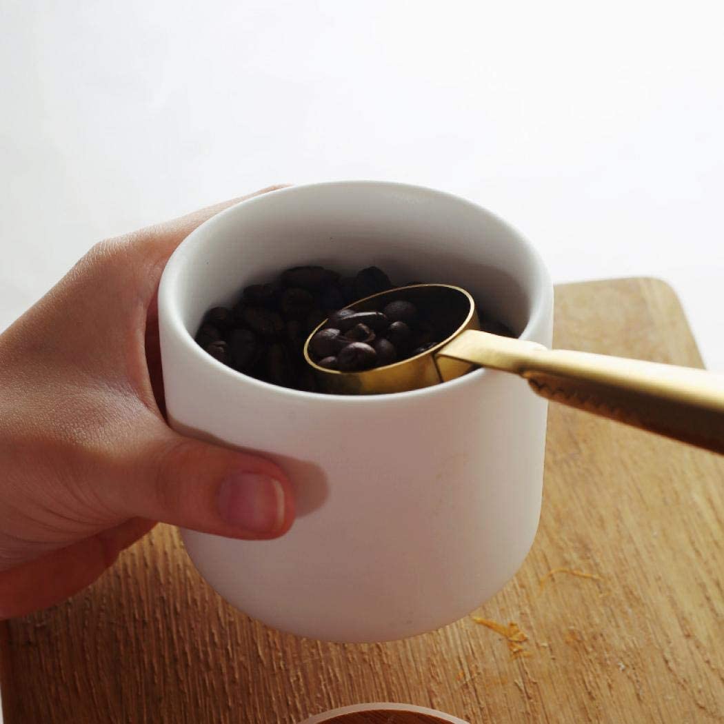 Modernes Design Frischhaltedose mit luftdichtem Holzdeckel, Keramik-Lebensmittelaufbewahrungsdose, Frischhaltedose für Kaffee, Zucker, Tee, Gewürze usw. (Weiß, 260 ml)