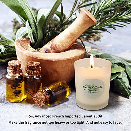 Scented Candles Gift Set, Soy Wax 2.5 oz Per Cup Portable Glass Candles Women Gift for Aromatherapy 8 Pack