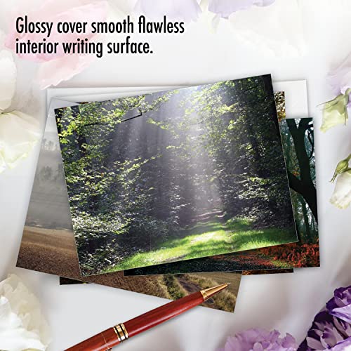 The Best Card Company - Box of 10 All Occasion Cards Blank (4 x 5.12 Inch) - Scenic Landscape Cards Assorted - Shining Through M1735BN