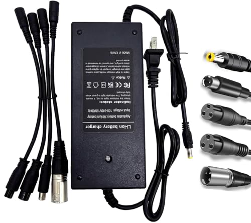 42V 2A Universal 5 Plugs Charger