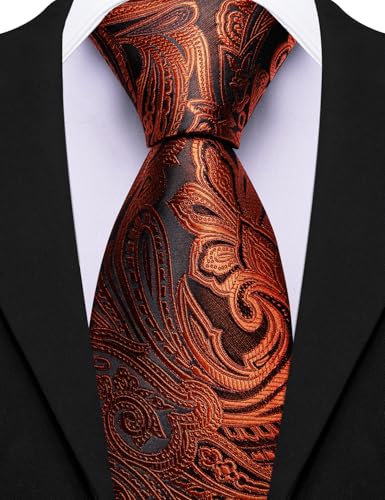 Image of Barry.Wang Paisley Tie for Men Silk Woven Necktie and Tie Clip Set Wedding Party Business Formal