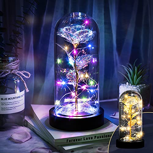 Amasava Rosa Eterna Cristal La Bella y Bestia Rosa con Luz LED de Dos Modos en Cúpula de Vidrio y Tarjeta de Felicitación Decoraciones para el Día de Madre Mujer Novia Día de San Valentín Cumpleaños Cover