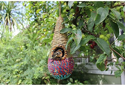  Artisan Nester Tahera - Wildvogel-Nester fürethical Consumers - Fair Trade 
| Artisan Nester Tahera - Wildvogel-Nester 