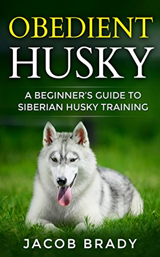 trained husky