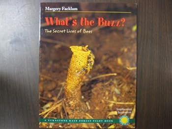 What's the Buzz?: The Secret Lives of Bees (Rain Forest Pilot) (Rain Forest Pilot)