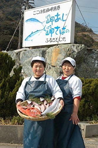 Amazon 愛媛 佐田岬産 天然一本釣り 岬サバ 2匹 佐田岬漁師の贈り物 宇和海の幸問屋 宇和海の幸問屋 鮮魚 通販 Amazon 愛媛 佐田岬産 天然一本釣り 岬サバ 2匹 佐田岬漁師の贈り物 宇和海の幸問屋 宇和海の幸問屋 鮮魚 通販